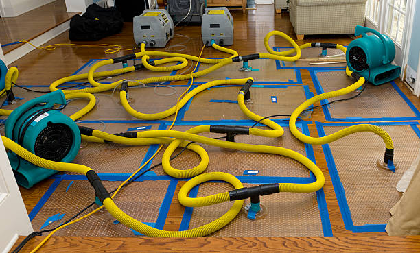 Professional Water Damage Restoration technician working in Woodmere, NY